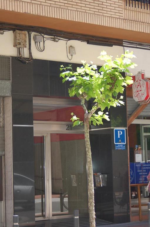 Pension Cinco Villas Logroño Exteriér fotografie